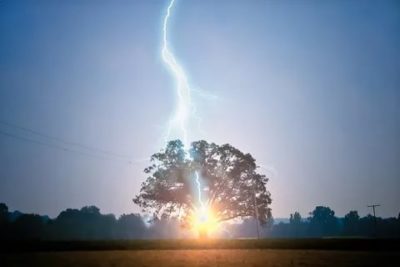 Как молния бьет в дерево